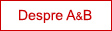 Despre AB Invest